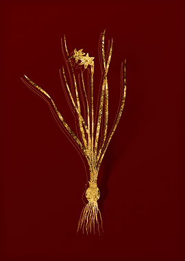 Gold Botanical on Red