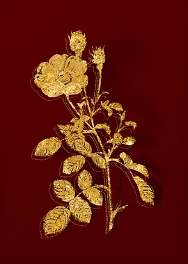 Gold Botanical on Red