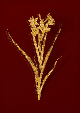 Gold Flora on Red