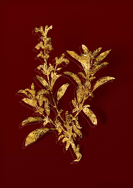 Gold Flora on Red