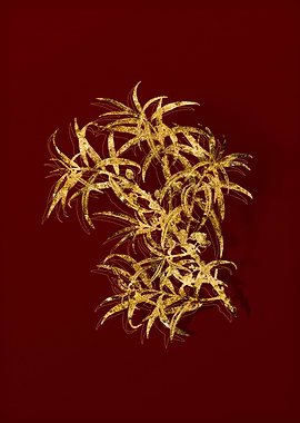 Gold Botanical on Red