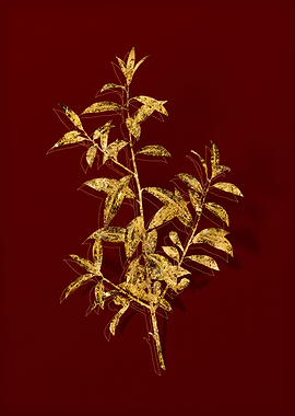 Gold Botanical on Red