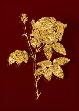 Gold Botanical on Red