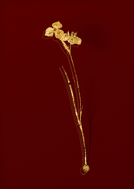 Gold Botanical on Red