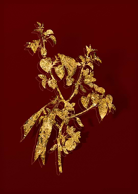 Gold Botanical on Red