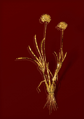 Gold Flora on Red