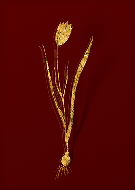 Gold Botanical on Red