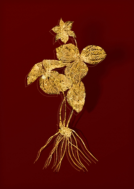 Gold Flora on Red