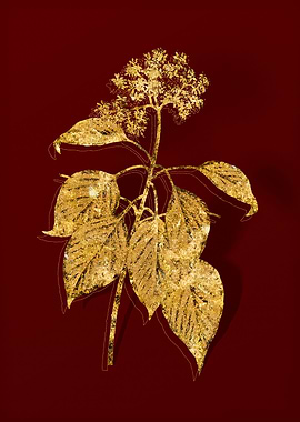 Gold Botanical on Red