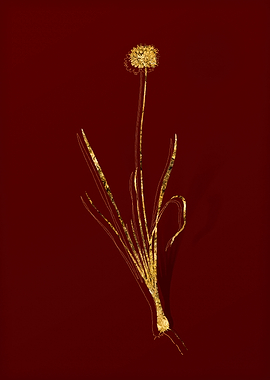 Gold Flora on Red