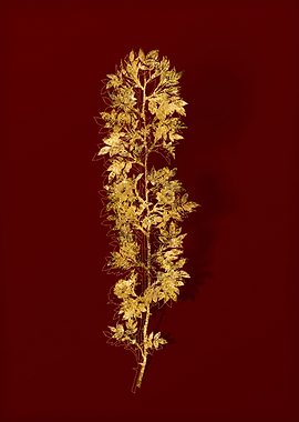 Gold Flora on Red