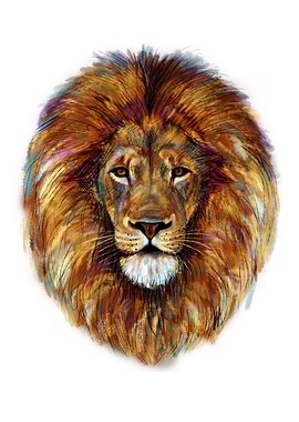 Lion head