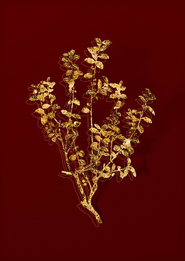 Gold Botanical on Red