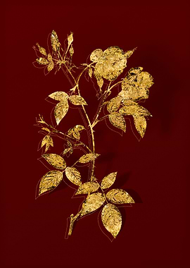 Gold Botanical on Red