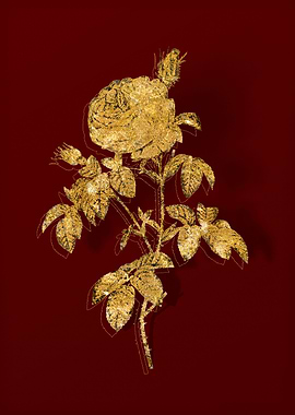 Gold Botanical on Red