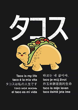 Turtle Taco