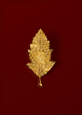 Gold Botanical on Red