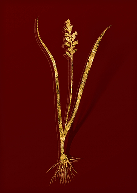 Gold Botanical on Red