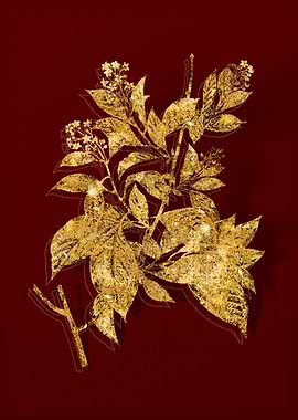Gold Botanical on Red