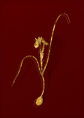 Gold Flora on Red