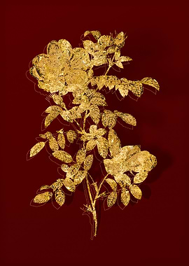 Gold Botanical on Red