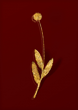 Gold Botanical on Red
