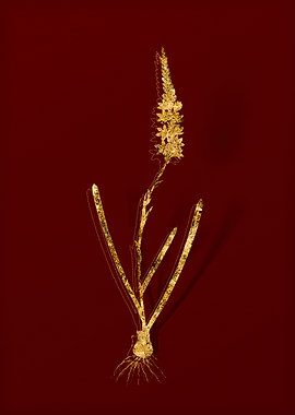 Gold Botanical on Red