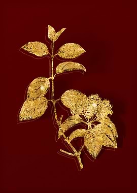 Gold Botanical on Red