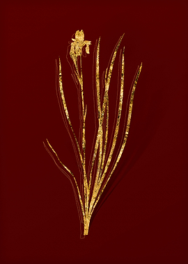 Gold Flora on Red