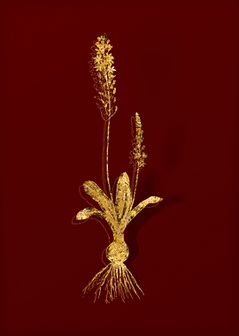 Gold Botanical on Red