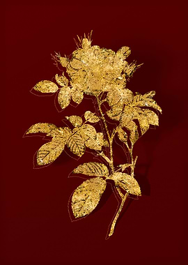 Gold Botanical on Red