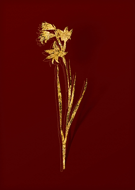 Gold Flora on Red