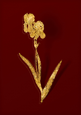 Gold Flora on Red