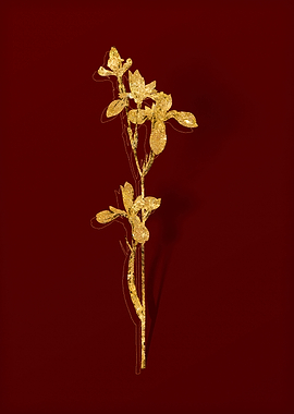 Gold Botanical on Red