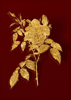Gold Botanical on Red