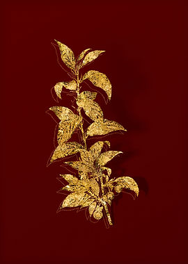 Gold Botanical on Red