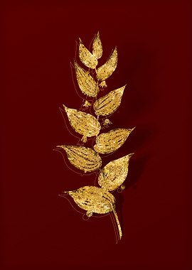 Gold Botanical on Red
