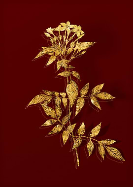 Gold Flora on Red