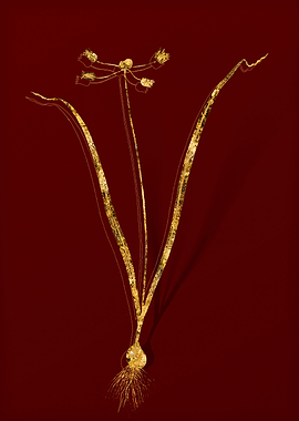 Gold Flora on Red