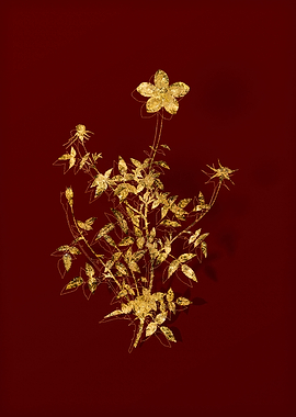 Gold Flora on Red