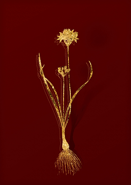 Gold Flora on Red