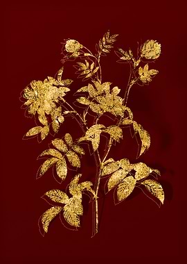 Gold Botanical on Red