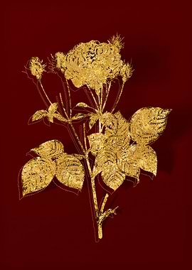Gold Botanical on Red