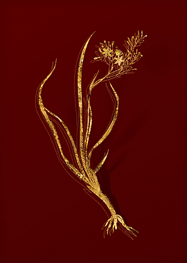 Gold Flora on Red
