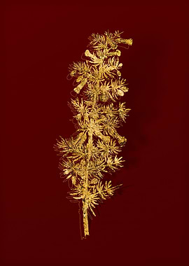Gold Flora on Red