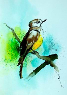 Bird: The Great kiskadee