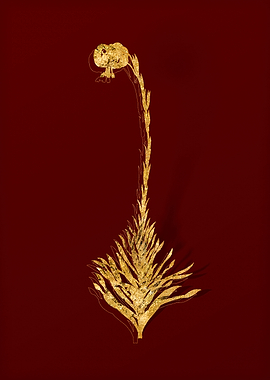 Gold Botanical on Red
