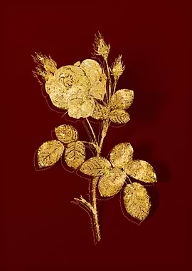 Gold Botanical on Red