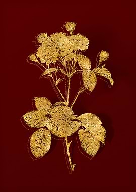 Gold Botanical on Red