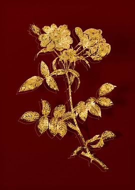 Gold Botanical on Red